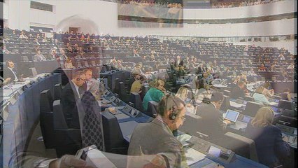 M1 - ALIJANSA REAKCIJA