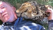Epuisé, cet homme s’endort sous un arbre. Mais quand il se réveille, c’est la surprise