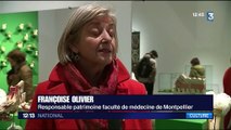Montpellier : quand des mannequins anatomiques deviennent des œuvres d'art