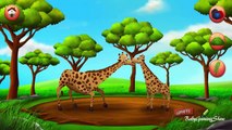 Los niños a Aprender de Alimentación de los Animales Salvajes | el Tiempo de Alimentación 2 Africa Safari Kids Juegos por Hompimpa