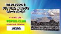 Les Volcans De Lanzarote Des Champs De Lave, Des Crateres, Des Pierres Basaltiques, Des Bombes Volcaniques Et Des Plantes