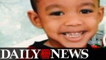 Boy, 5, Critically Wounded By Family Pit Bulls Inside Brooklyn Home_