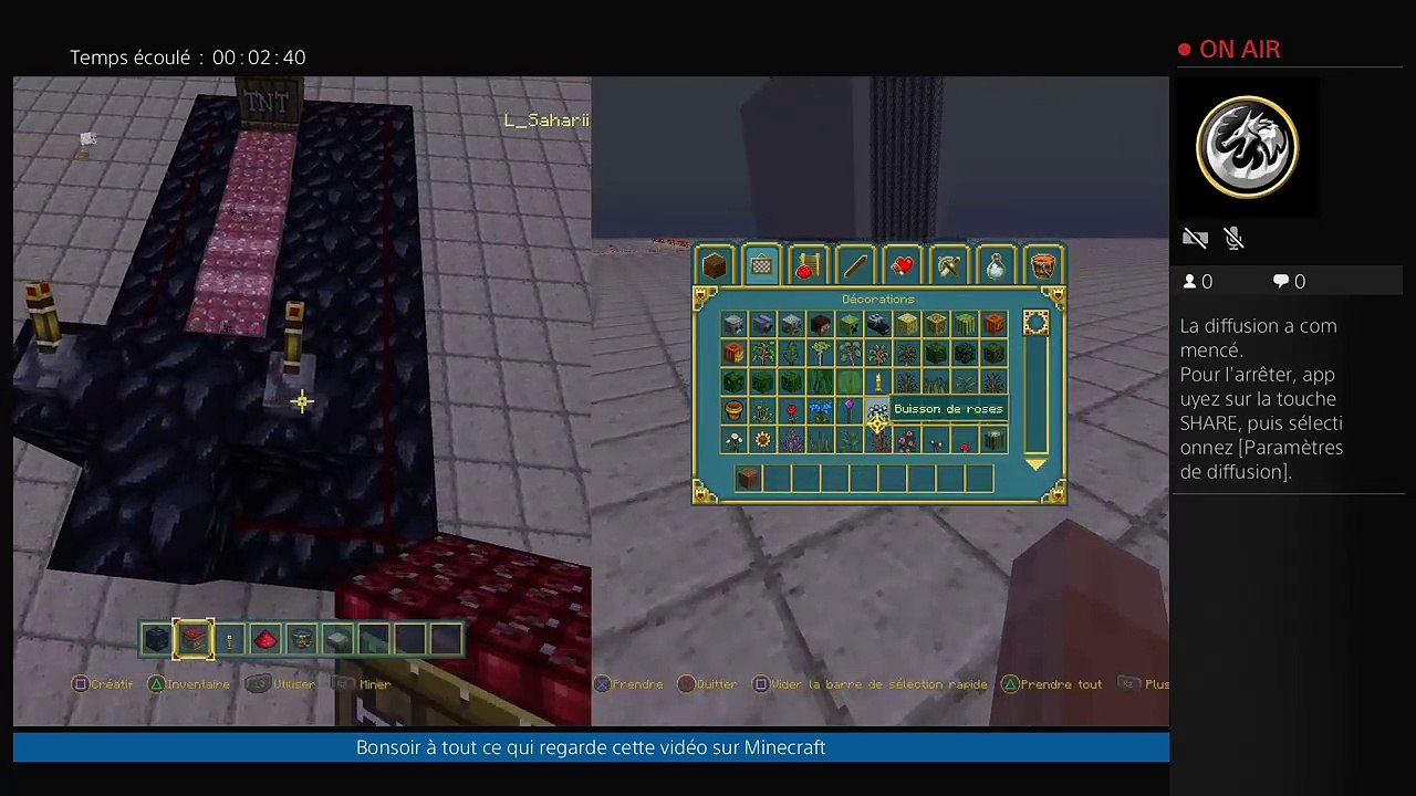 Minecraft ps4 (14)