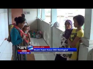 NET5   Kasus DBD meningkat di Sumenep