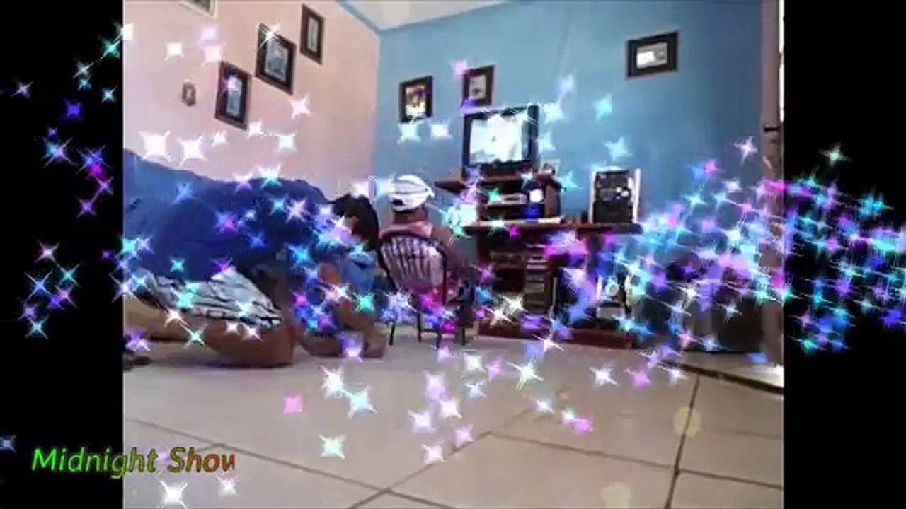 Top Best WhatsApp Funny Videos Compilation 2017