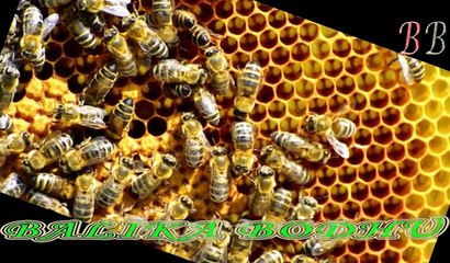 ধনী হতে চাইলে ৮ টি জিনিস অবশ্যই বাড়ি থেকে দূরে রাখুন !! BB