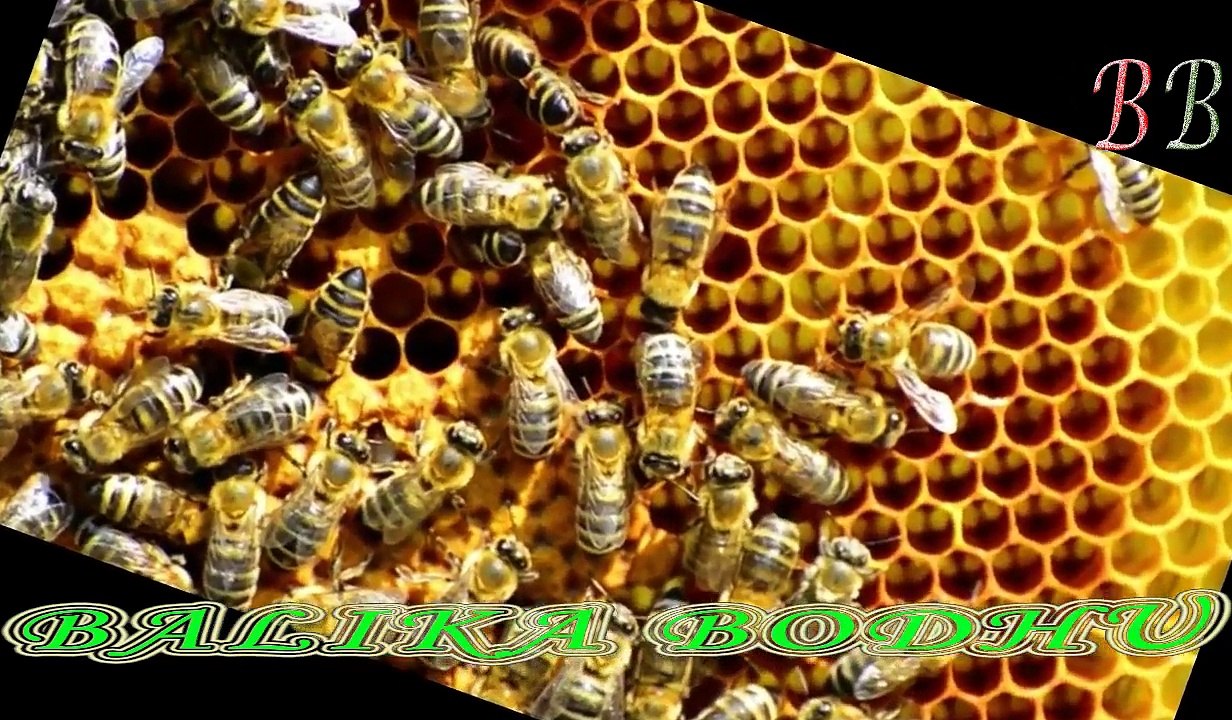 ধনী হতে চাইলে ৮ টি জিনিস অবশ্যই বাড়ি থেকে দূরে রাখুন !! BB