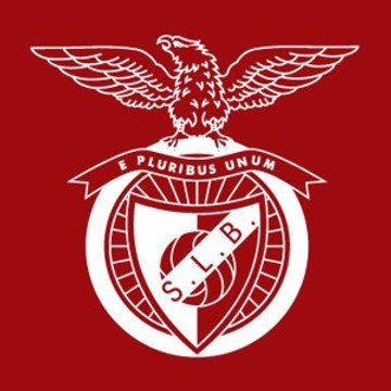 grande golo do benfica na taça de portugal