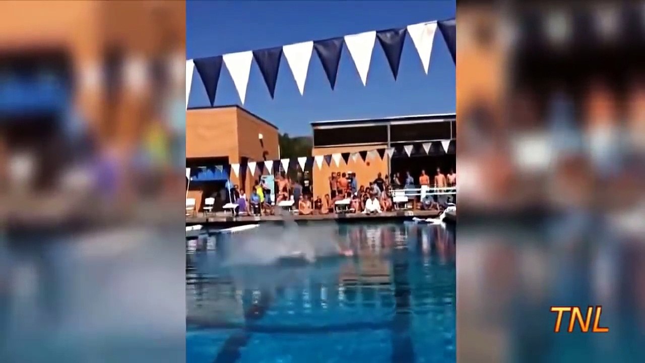 Funny videos - Try not to laugh (Challenge Impossible)