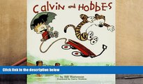 PDF [DOWNLOAD] Calvin and Hobbes Bill Watterson READ ONLINE