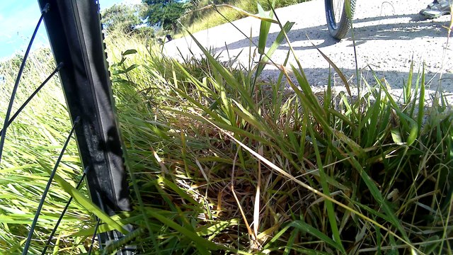 4k, 2,7k, ultra hd, Mtb, 16 bikers, trilhas da Banheirinha, trilhas de aventuras, Caçapava, Taubaté, SP, Brasil, (36)