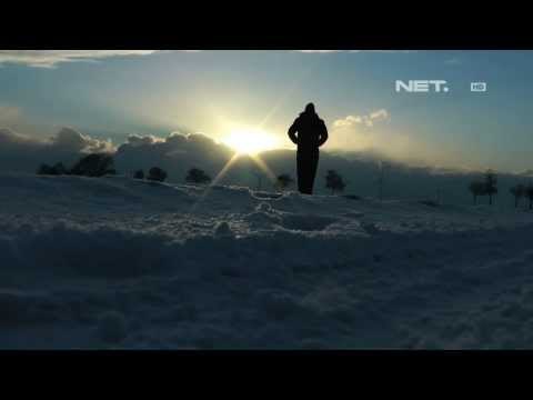 NET17 - Konsumsi daging membuat pemanasan global