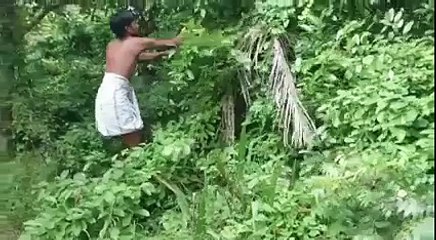 Amazing brave boy fighting with the snake