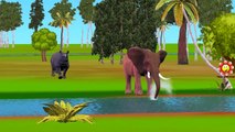 Dedo De La Familia De Los Niños Canciones Infantiles Elefante Vs Rhino Épicas Batallas De Lucha Y De Videos Para