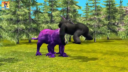 Crazy Gorilla Finger family | Nursery Rhymes for Children | Finger Family Songs