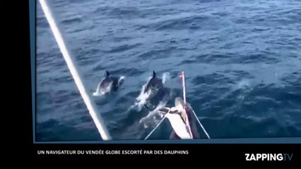 Vendée Globe : Romain Attanasio passe un moment magique avec des dauphins (Vidéo)