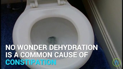 These Foods Make Pooping Easier