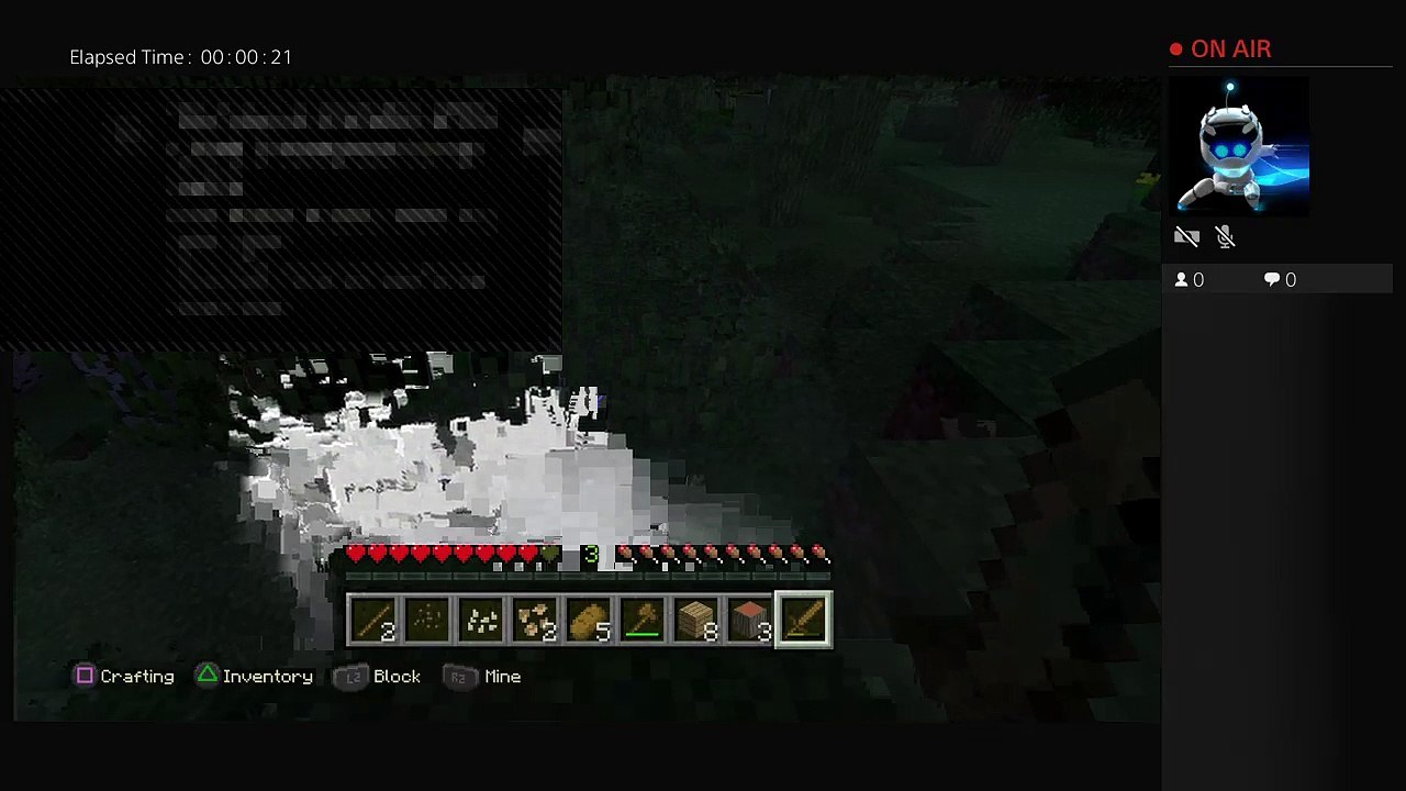 Minecraft #1 (16)