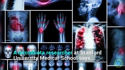 Digestive Health: Gut Bacteria The Body's Boss