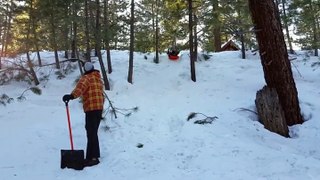 Sledder knocked out_cold_after_bashing_head_into_tree