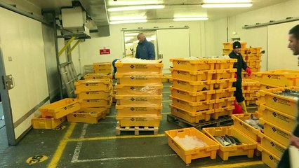 Shetlands fishermen look forward to post-Brexit future