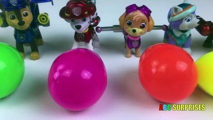 Going Swimming and Eggs Surprise Opening Silly Putty Slime Paw Patrol Toys Ryan ToysReview