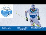 Biathlon sprint | 2017 World Para Nordic Skiing Championships, Finsterau