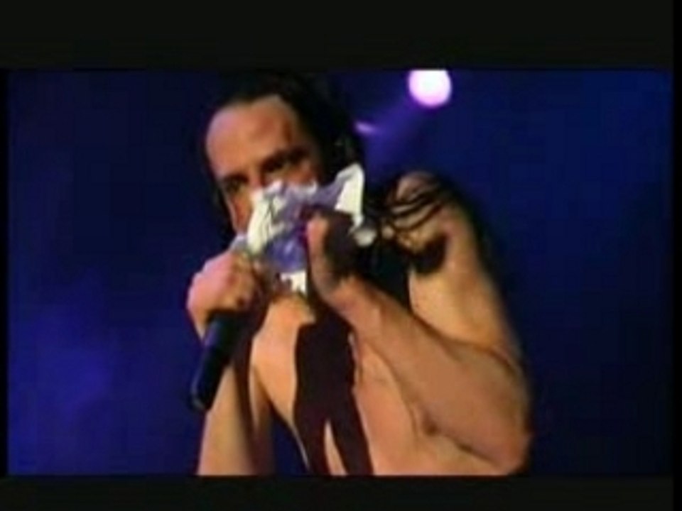 Goethes Erben - Kopfstimme