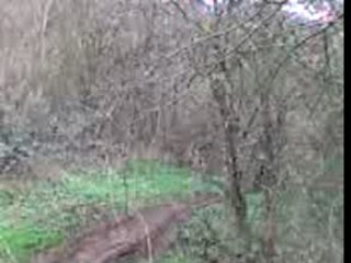 Enduro Neuvy 2007 (9)