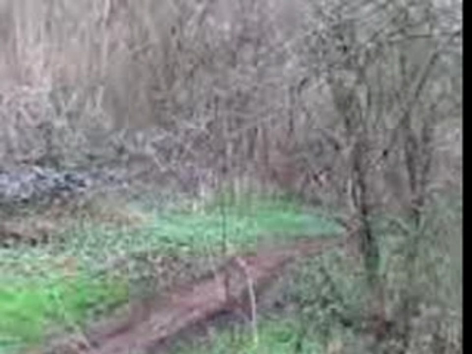 Enduro Neuvy 2007 (10)