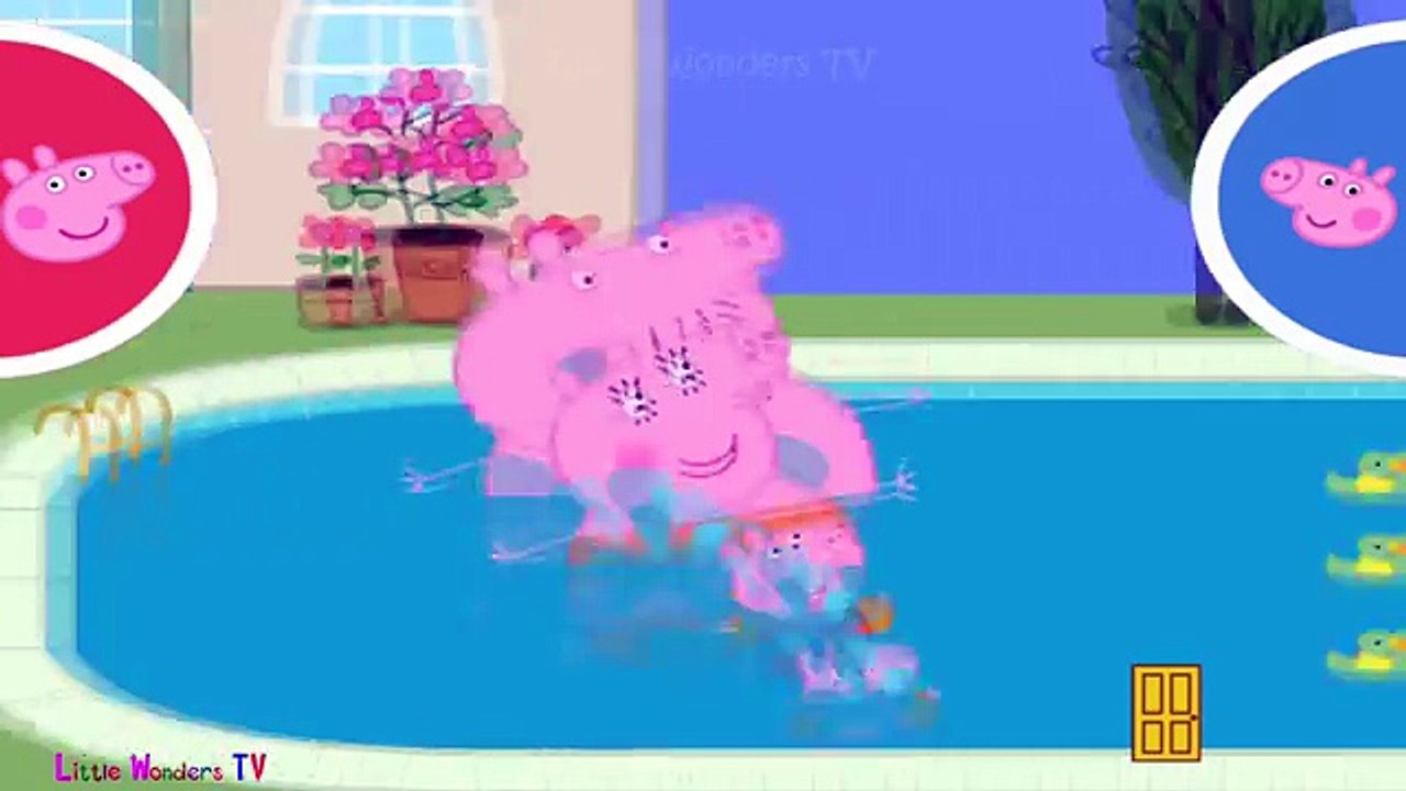 ☀ Peppa Pig Swimming Race ☀ Peppa pig swimming pool ☀ Peppa pig gameplay for kids ☀