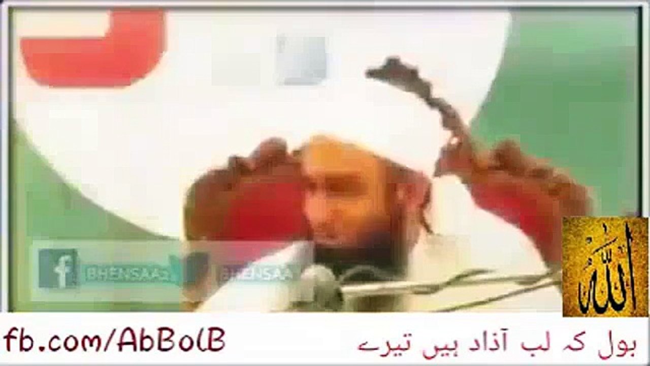 the best bayan