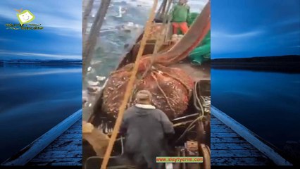 Balık avındaki büyük süpriz