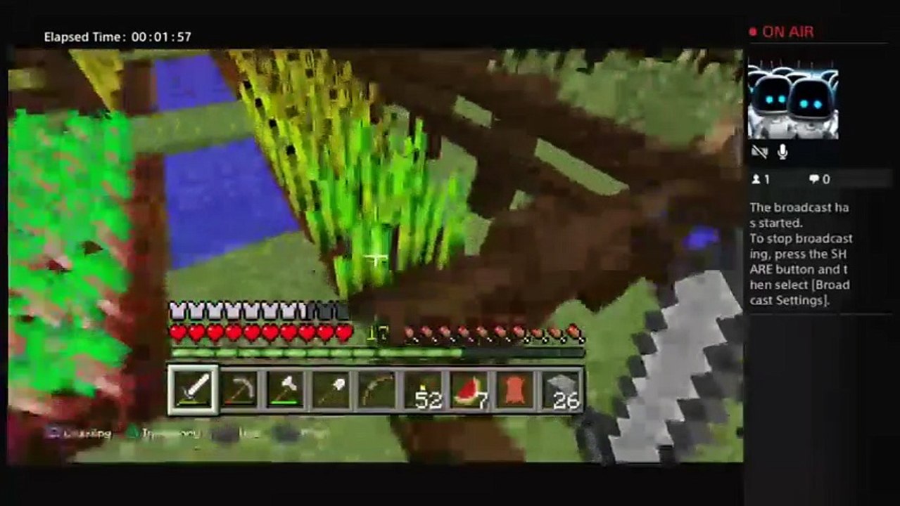 Minecraft Ep.2 Brother Style (4)