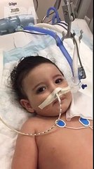 Lufta e vogelushes me mjeket qe e duan te vdekur