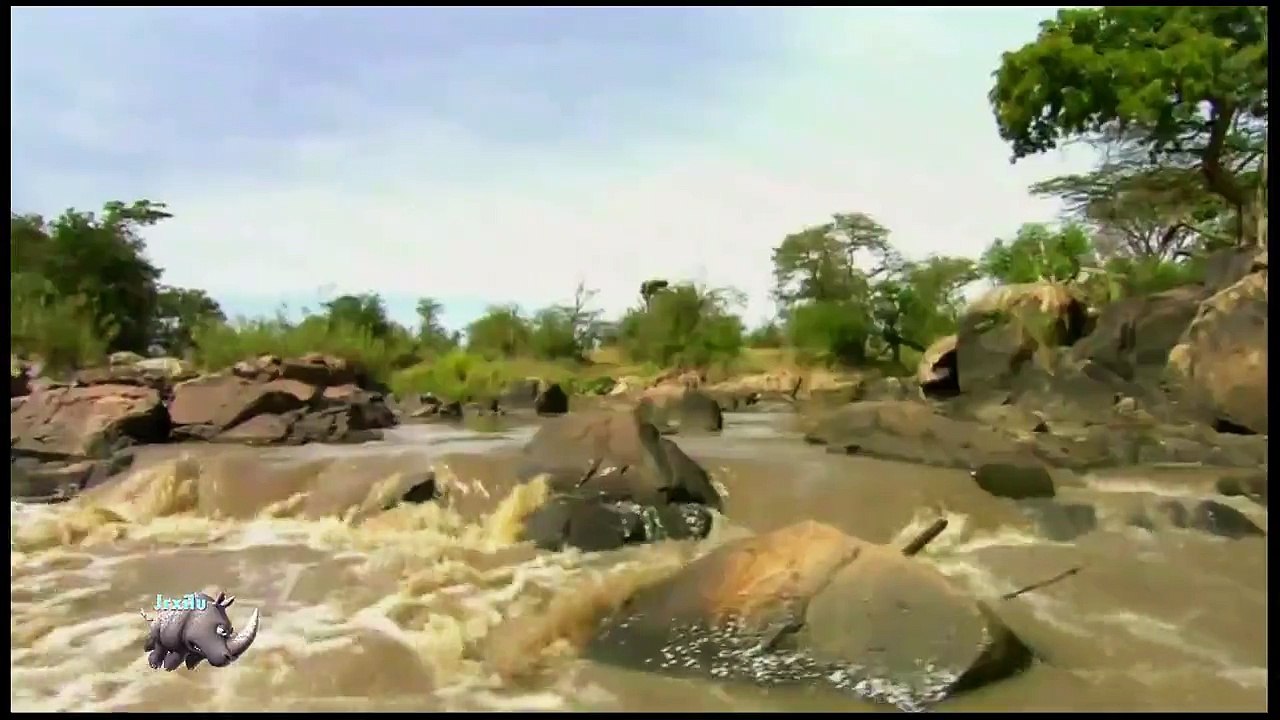 Top animais selvagens, Animais selvagens atacando, Animals, Confrontos animais, Serpentes atacando animais e humanos, Li