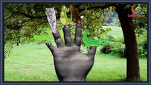 Tiger Finger Family 3d rhymes || Nursery children Wild animals finger family song