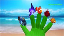 Finger Family - Sea Animals | Nursery Rhymes & Kids Songs - ABCkidTV