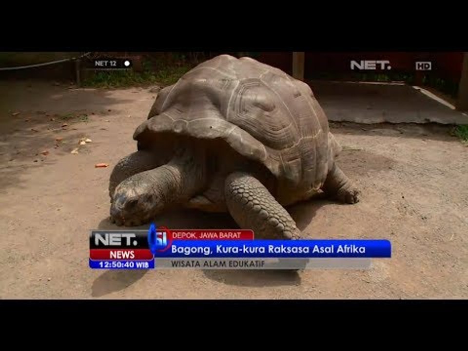 NET12 - Wisata alam edukatif di Depok