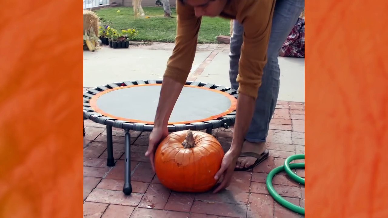 Tricks for Treats (2)