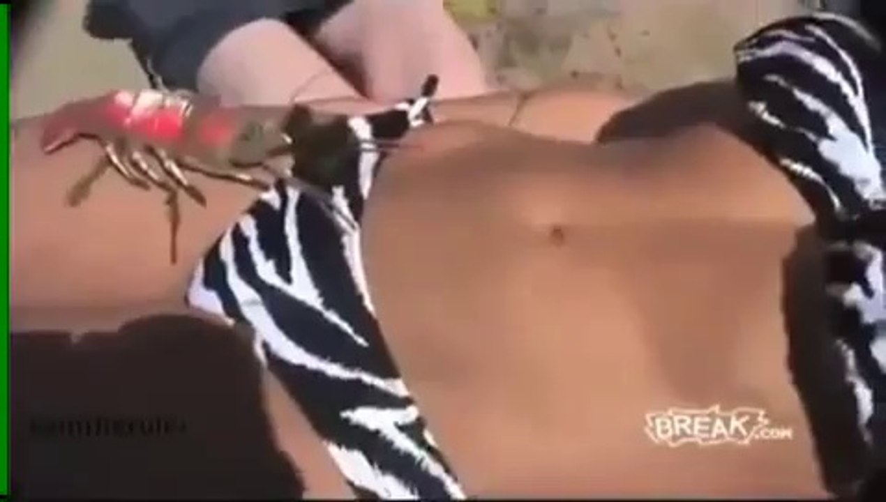 مقلب خطير