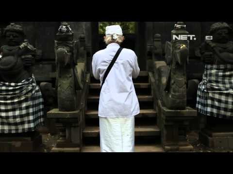 NET17 Di Taman Nasional Alas Purwo Banyuwangi Banteng Jawa Dapat Berkembang Biak di Alam Liar