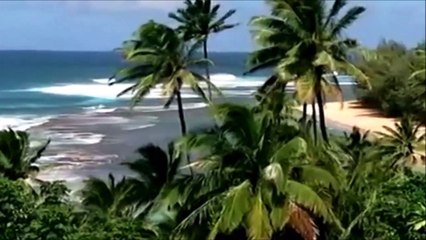 Солёный ветер