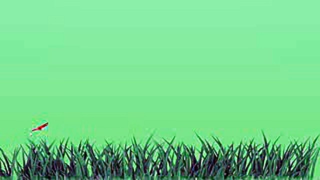 green screen butterflies flying over grass by lucky