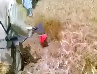 price inindia my require one pice