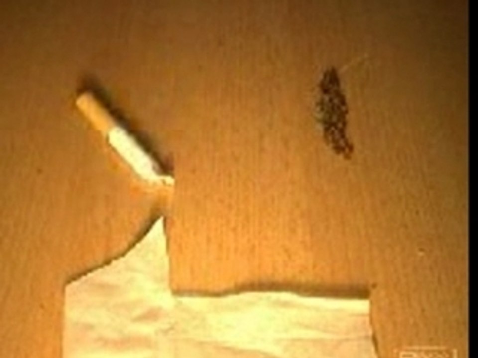 Bob