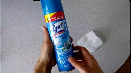 Lysol Disinfectant Spray