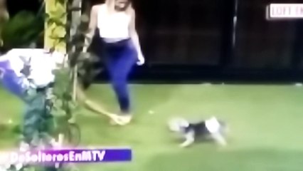 El perrito de jenifer grabado el 17 de febrero en despedida del solteros