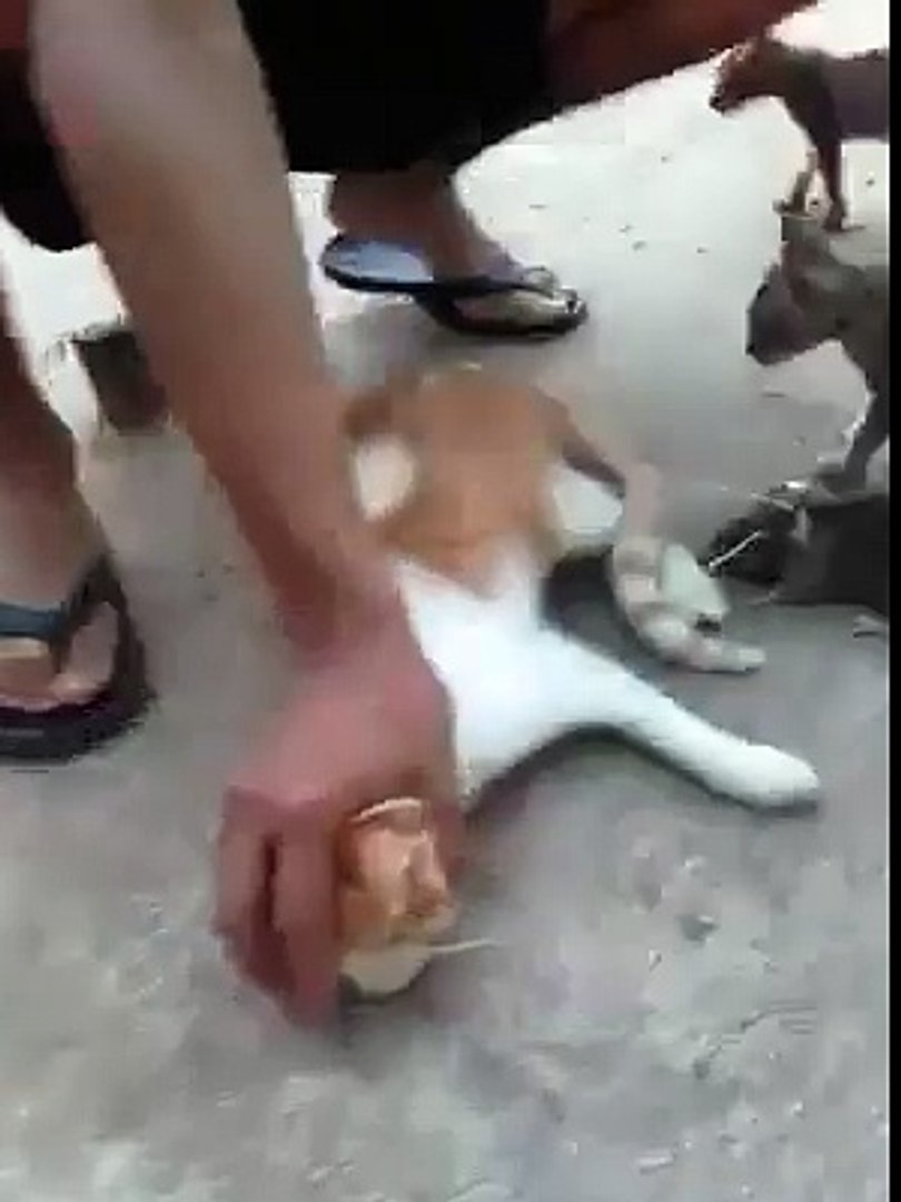 Funny Funny