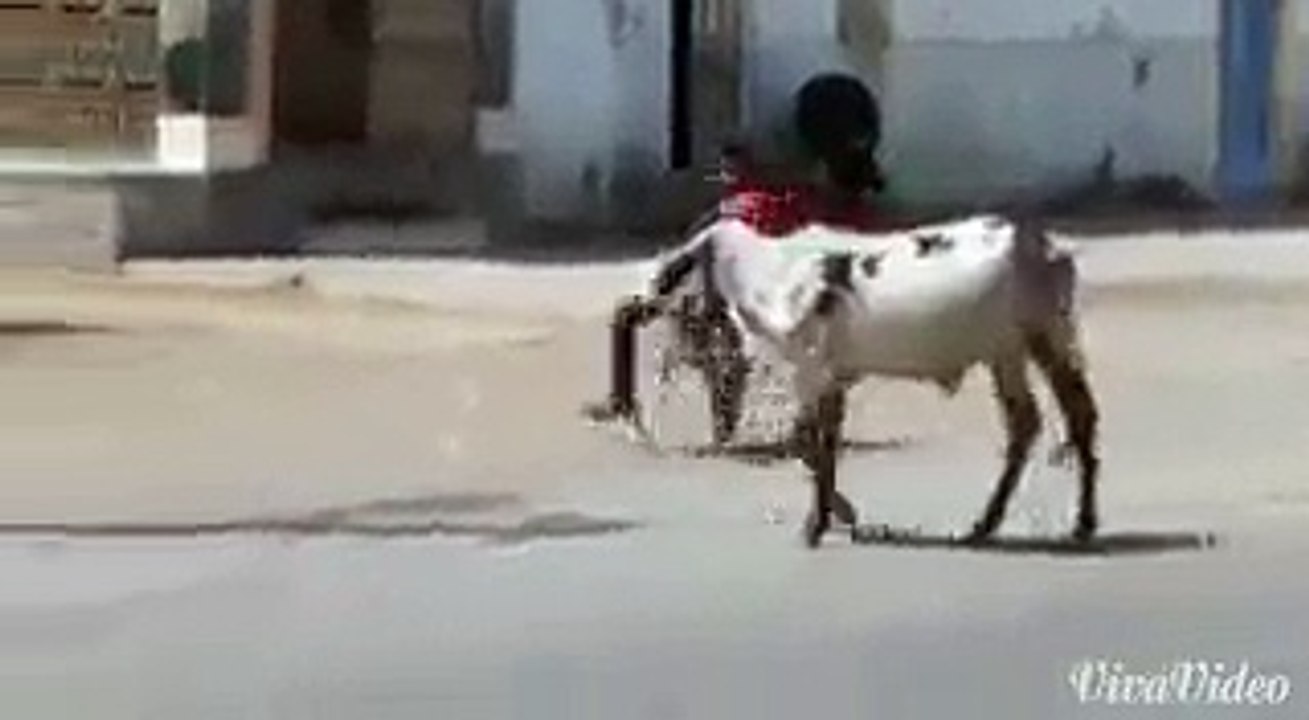 ambulance